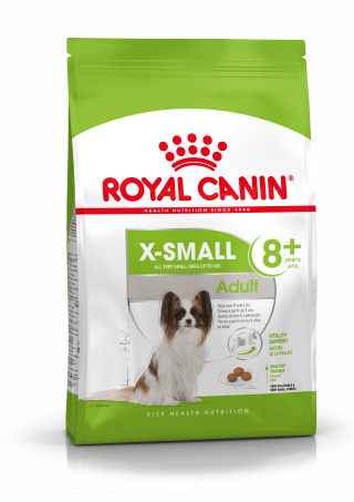 X-Small Adult 8+